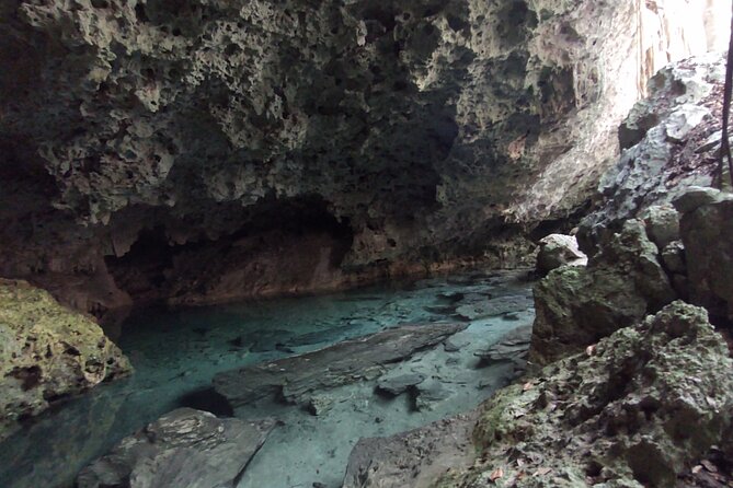 Full-dayTurtle Adventure: ATV, Zipline, Cenote & Turtle Swim - Three ziplines and a wall rappel