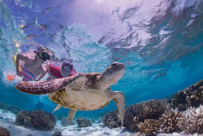 Full-dayTurtle Adventure: ATV, Zipline, Cenote & Turtle Swim - A Mayan ceremony before the water