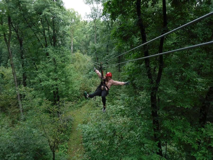 Galena: Zipline Adventure- Long Hollow Canopy Tours - What makes the guides important