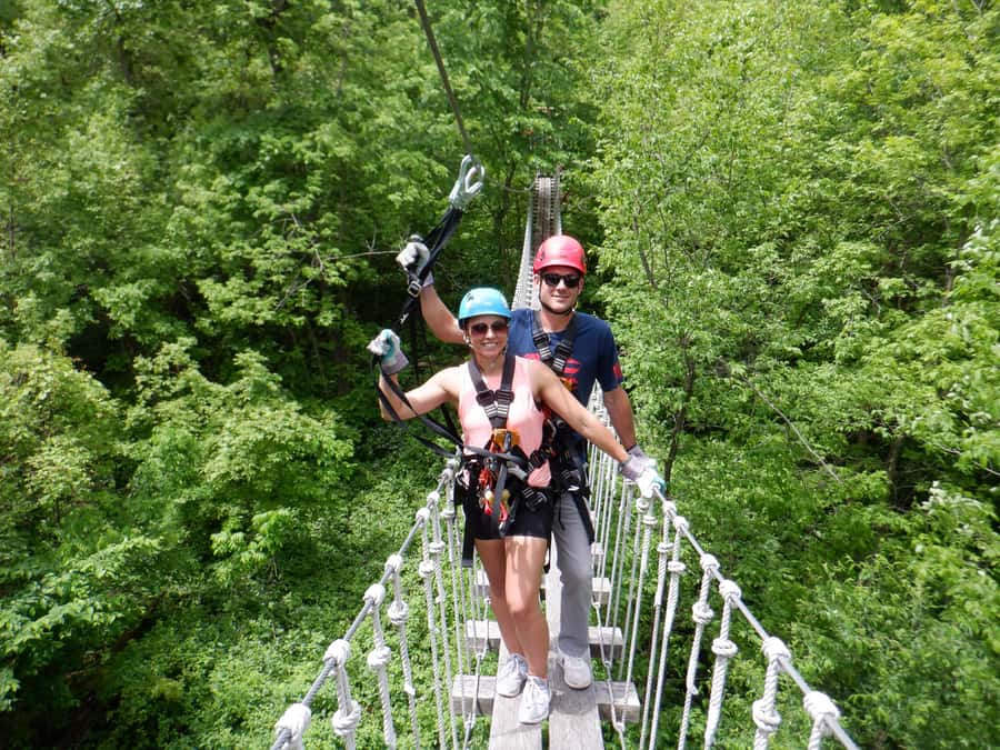 Galena: Zipline Adventure- Long Hollow Canopy Tours - Price and value at $109 per person
