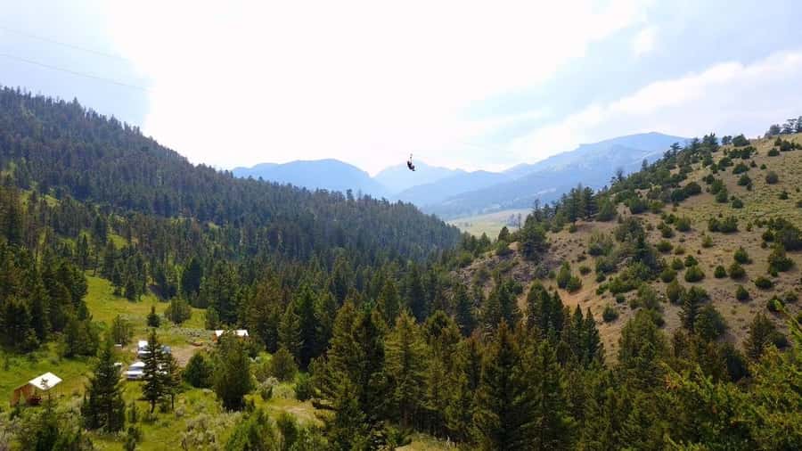 Gardiner: Guided Zipline EcoTour (3 hours) - What the safety briefing adds