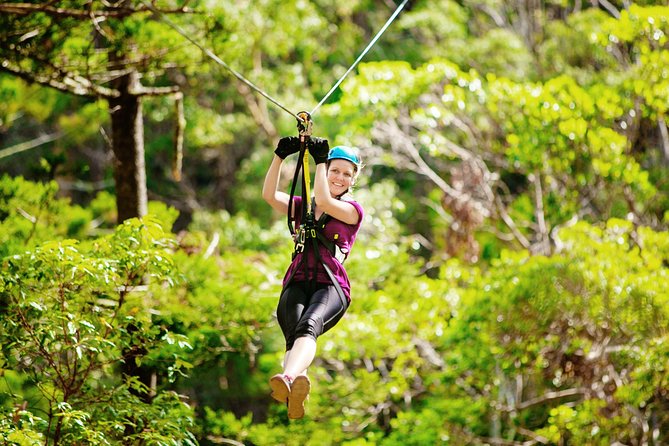 Gold Coast Canyon Flyer Zipline Tour - Key points before you book