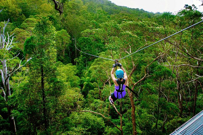 Gold Coast Canyon Flyer Zipline Tour - What the Canyon Flyer actually feels like