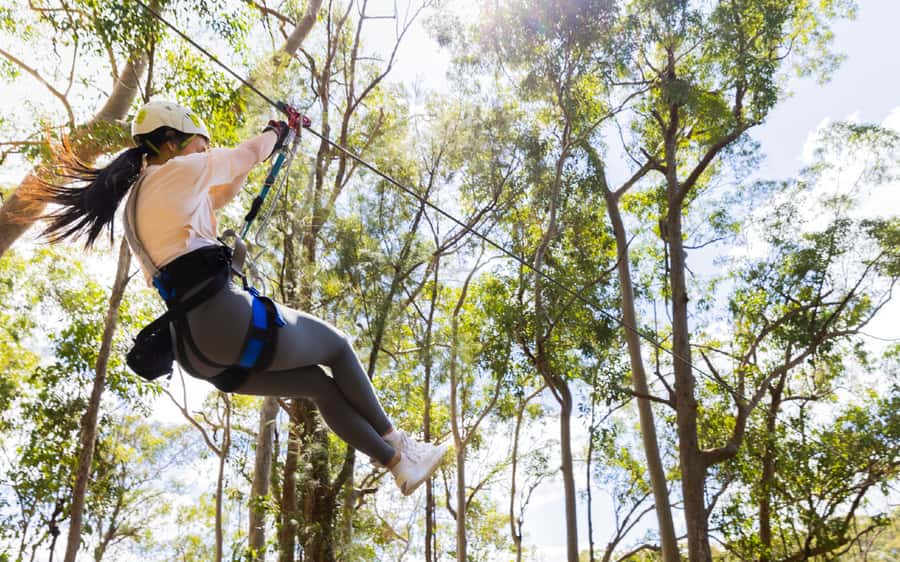 Gold Coast: Tamborine Mountain Canyon Flyer Zipline Tour - Getting to Thunderbird Park from the Gold Coast or Brisbane