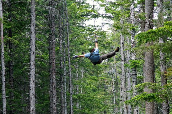 Grizzly Falls Ziplining Expedition - Starting in central Skagway