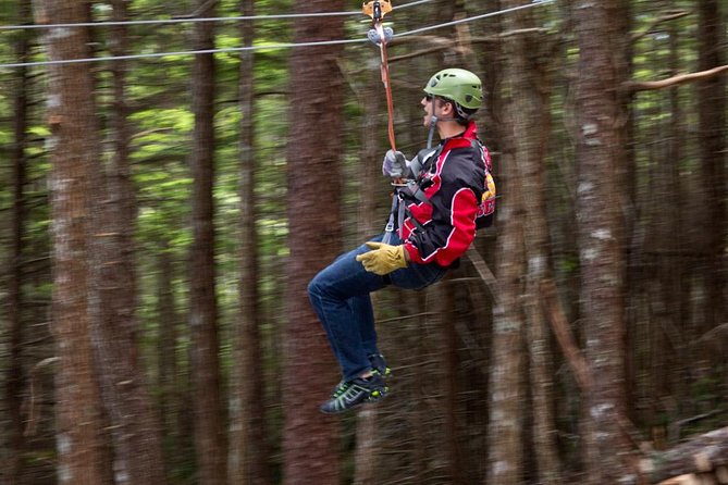 Grizzly Falls Ziplining Expedition - Four bridges for a slower look around