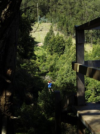 Haleakala 6 Line Zipline Adventure - A good first zipline for families