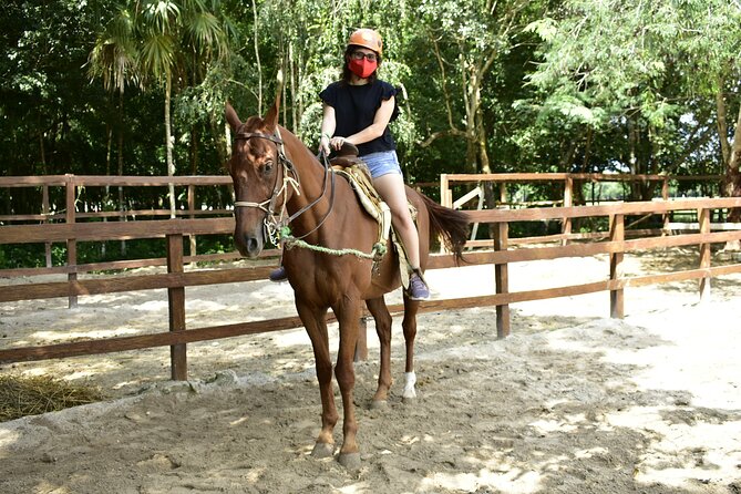 Half Day Adventure in Mexico: Horseback riding, ATV, and Zipline - A freshwater swim in a Mayan cenote