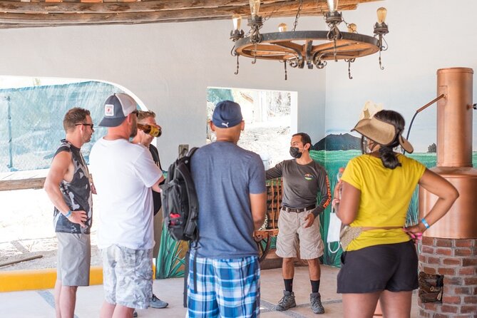 Half-Day San José del Cabo Zip Line and Rappel Adventure - Crossing the suspension bridge