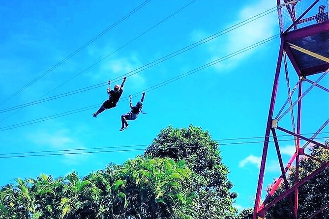 Half Day Tour in Rainforest Zipline Park with Transportation - Key points to know before you book