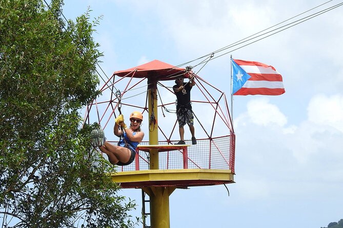 Half Day Tour in Rainforest Zipline Park with Transportation - Eight lines and a gentle start for first-timers