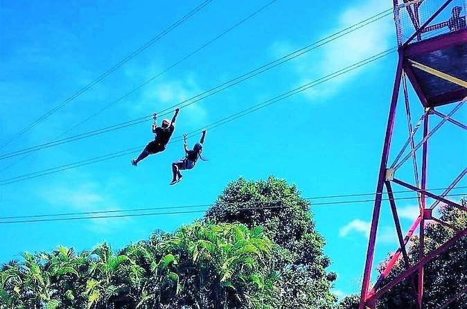 Half Day Tour in Rainforest Zipline Park with Transportation - Timing, group size, and possible snags
