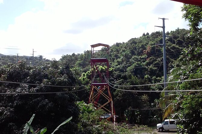 Half Day Tour in Rainforest Zipline Park with Transportation - Who should book this Luquillo zipline outing?