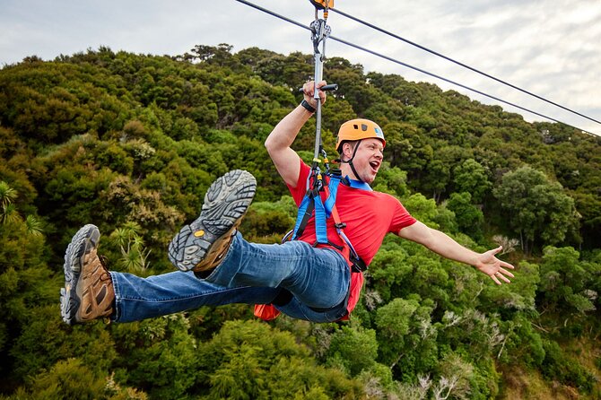 Half Day Zipline Adventure in Kaikoura - What the native forest walks add