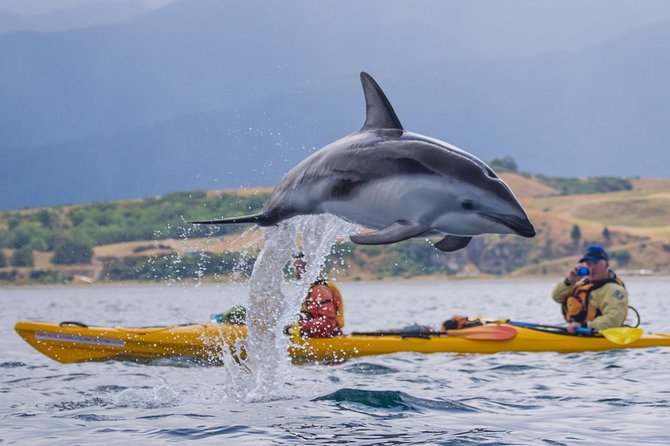 Half Day Zipline Adventure in Kaikoura - How the scenery changes from farm to coast