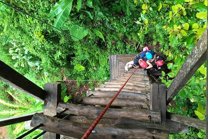 Half Day Zipline and Rainforest Exploration in Krabi - What the $65.99 price really covers