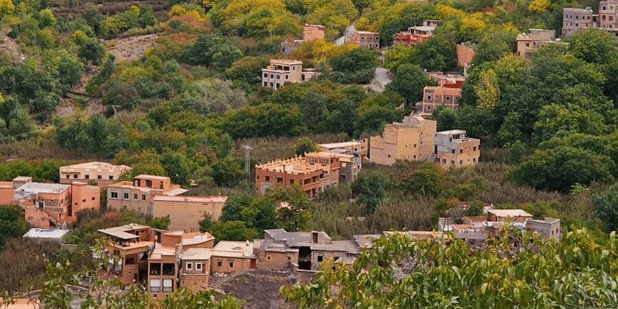 Half day Zipline out of marrakech city with breakfast - Four ziplines and two bridges above the forest