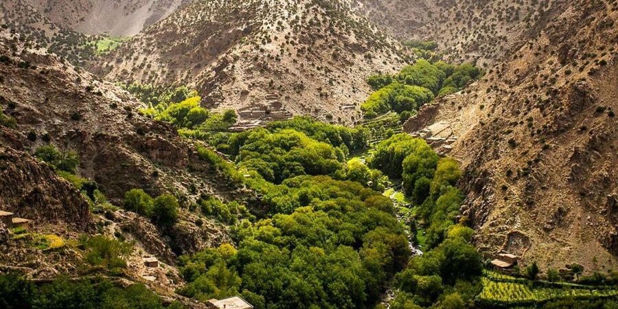 Half day Zipline out of marrakech city with breakfast - Practical tips for a smoother morning