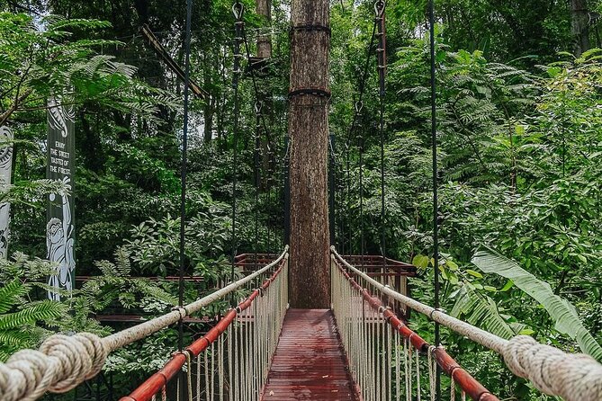 Hanuman World Zipline & Skywalk Phuket - Skywalks add a slower, calmer part
