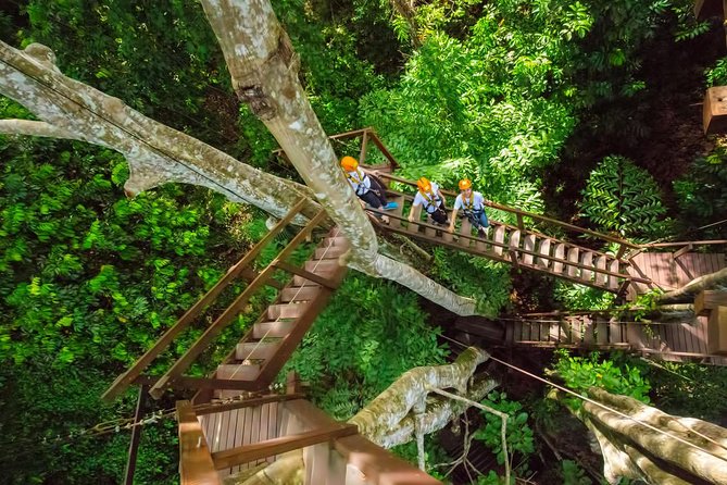 Hanuman Ziplines Adventure Tours - Who Will Enjoy the 28-Platform Option