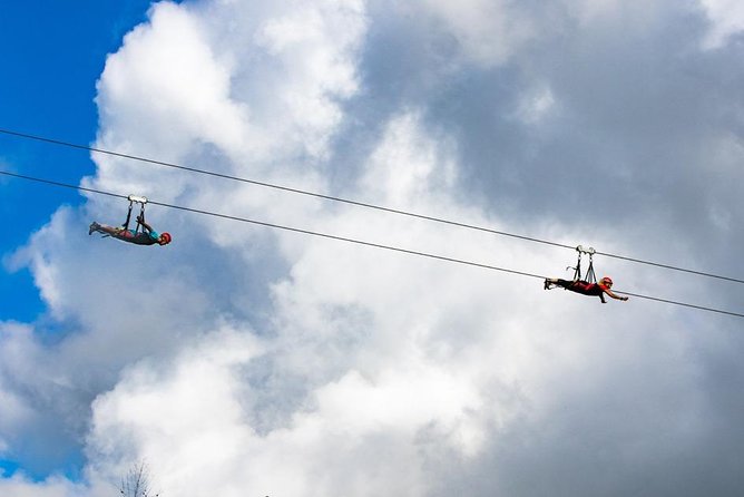 Hawaii Kipu Ranch PowerLine Zipline with Guide - Who will enjoy Kipu Ranch most?