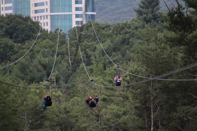 HighFlyer Zipline at Foxwoods - Who will enjoy the HighFlyer most?