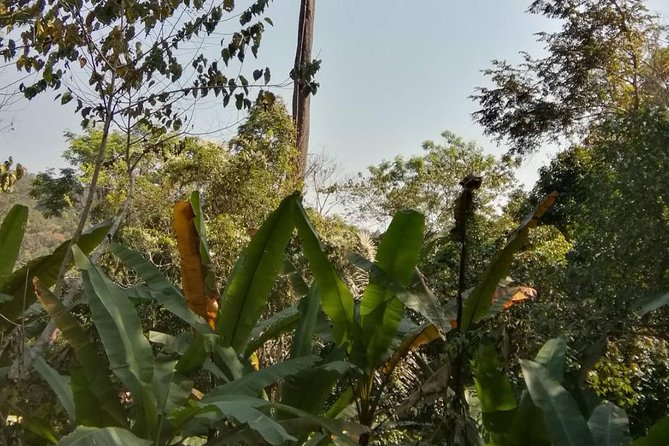 Hiking and Zipline Private Tour from Chiang Mai +Karen Village - Lunch, transport, and the value of $162.50