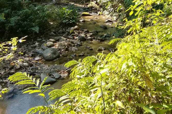 Hiking and Zipline Private Tour from Chiang Mai +Karen Village - Who will enjoy this private Chiang Mai day
