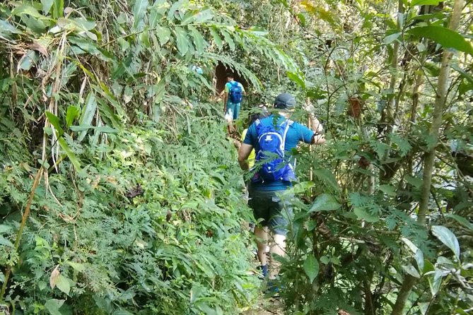 Hiking and Zipline Private Tour from Chiang Mai +Karen Village - Hiking through the Mae Sa area