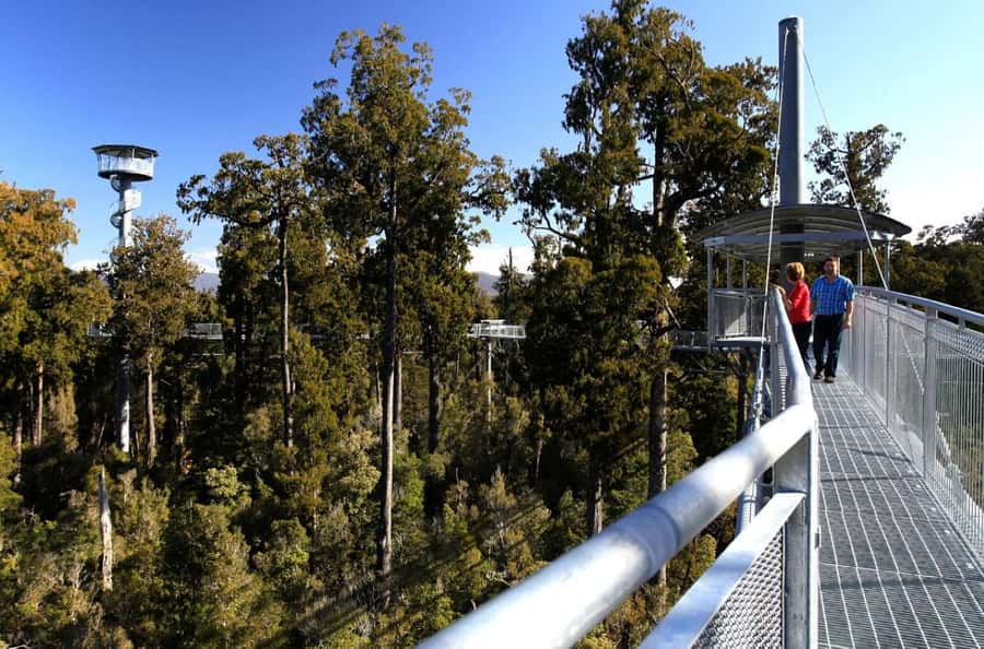 Hokitika: West Coast Tree Top Tower Zip Line and Walk - What the safety briefing and gear fitting add