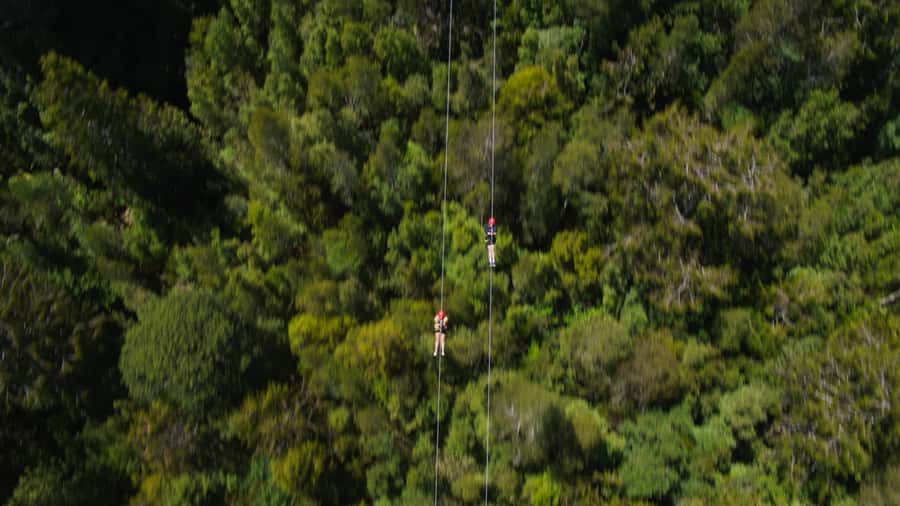Hokitika: West Coast Tree Top Tower Zip Line and Walk - Booking flexibility and practical limits