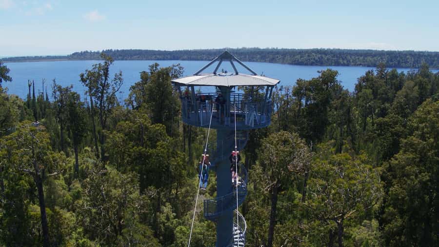 Hokitika: West Coast Tree Top Tower Zip Line and Walk - The 45-minute treetop walk