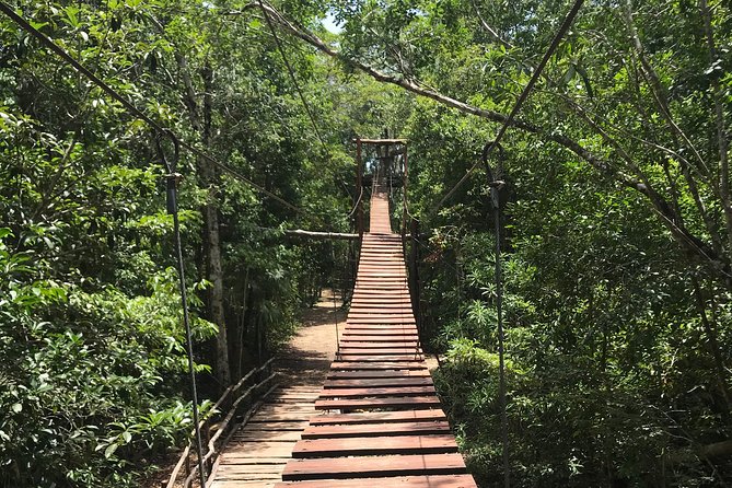 Horseback riding and ATV in the jungle, Ziplines, Cenote & Lunch - Is $60.75 a good value?