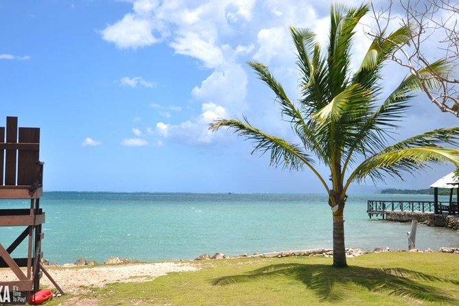 Horseback Riding/Zipline Combo Tour at Chukka Ocean Outpost with Transportation - Two Jamaican thrills at one ocean-side ranch
