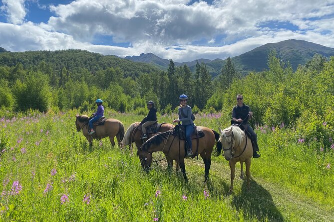 Horseback & Zipline Adventure in Alaska Mountains includes Lunch - Key Points to Know Before You Book