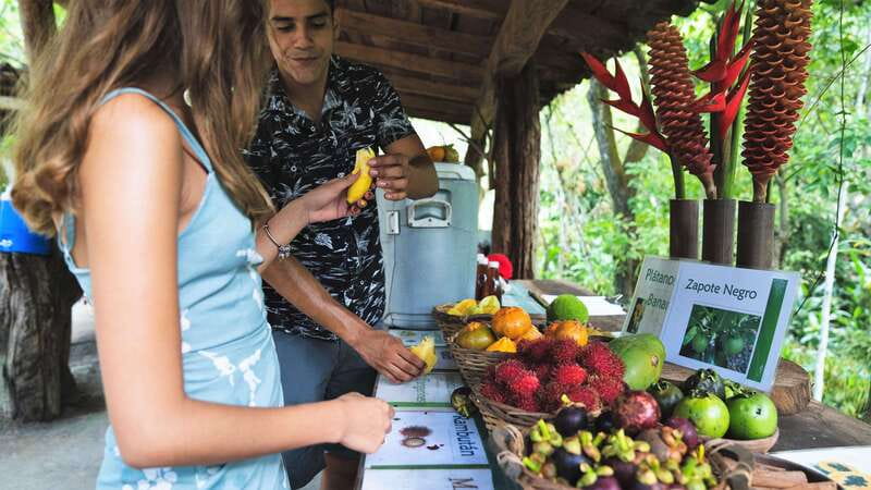 Huatulco: Nature Park with Fruit Tasting & Optional Zipline - Key points at a glance