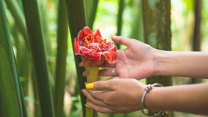 Huatulco: Nature Park with Fruit Tasting & Optional Zipline - Fruit waters and regional produce set the tone