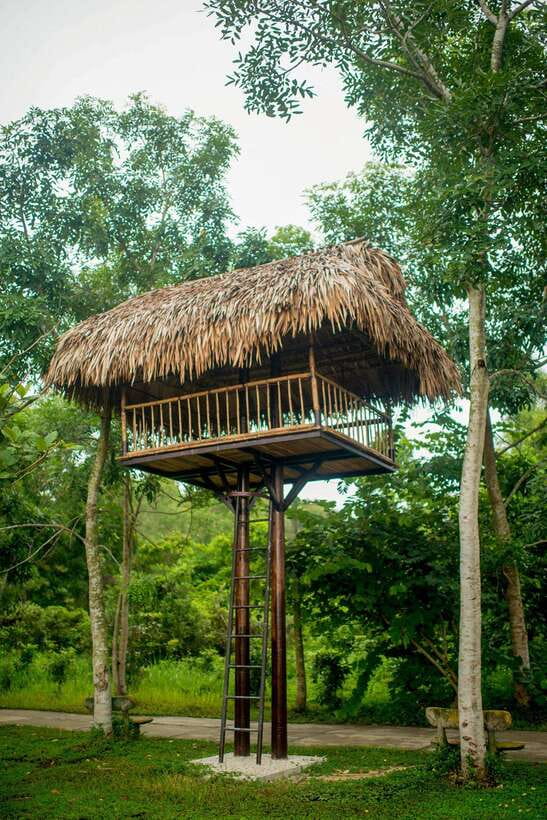 Hue: Full-day Nature’s Bliss From Hot Springs To Zip Line - Two hours of bathing changes the pace