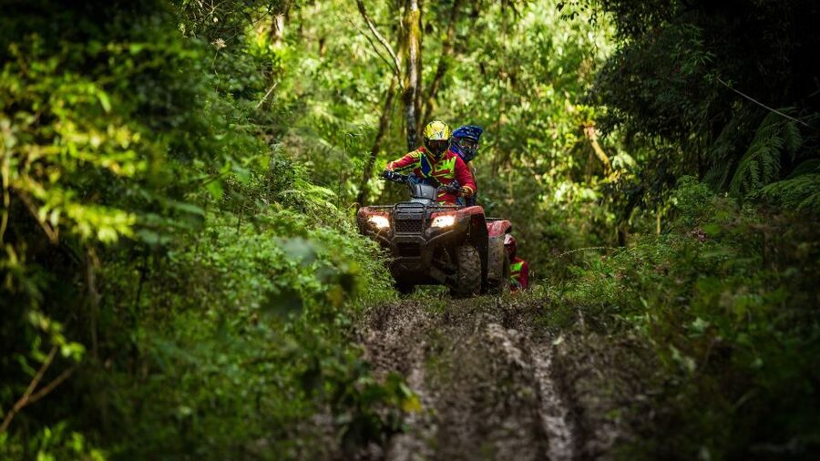 Istanbul: Belgrad Forest ATV Tour with Ziplining Option - Leaving Istanbul for Belgrad Forest