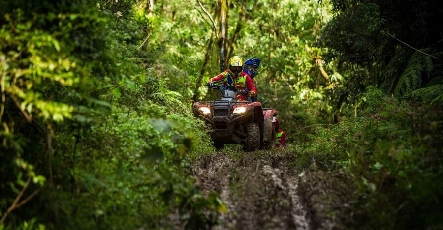 Istanbul: Belgrad Forest ATV Tour with Ziplining Option - Adding the zipline option