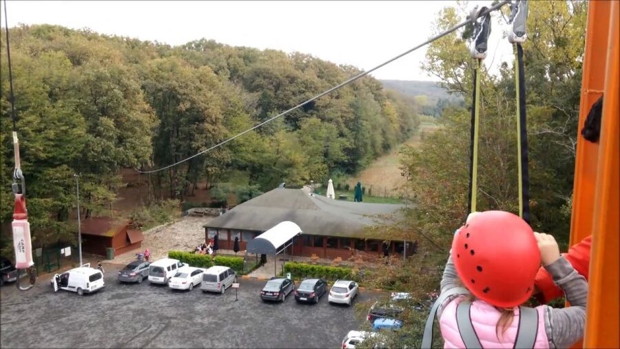 Istanbul: Belgrad Forest ATV Tour with Ziplining Option - What the 40-minute forest ride is like