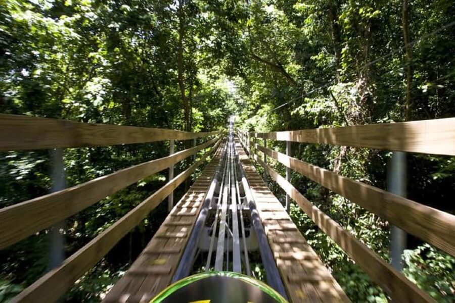 Jamaica Bobsled and Zip Line Adventure Tour - Starting with the Sky Explorer chairlift
