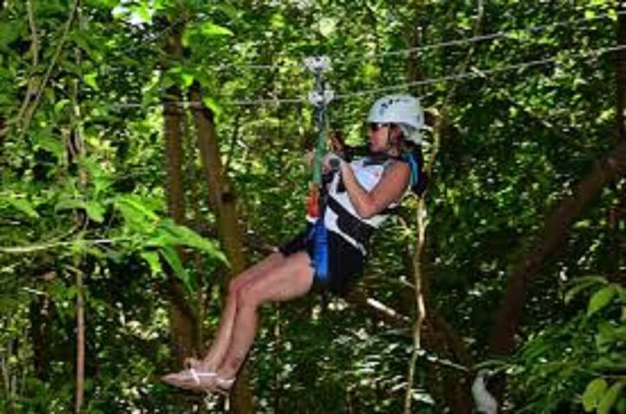 Jamaica Bobsled and Zip Line Adventure Tour - Flying through the rainforest canopy
