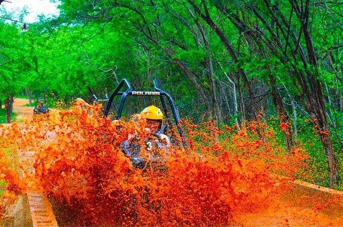 Jamwest ATV Off-Road Adventure & Zipline Combo in Negril - Why the guides matter