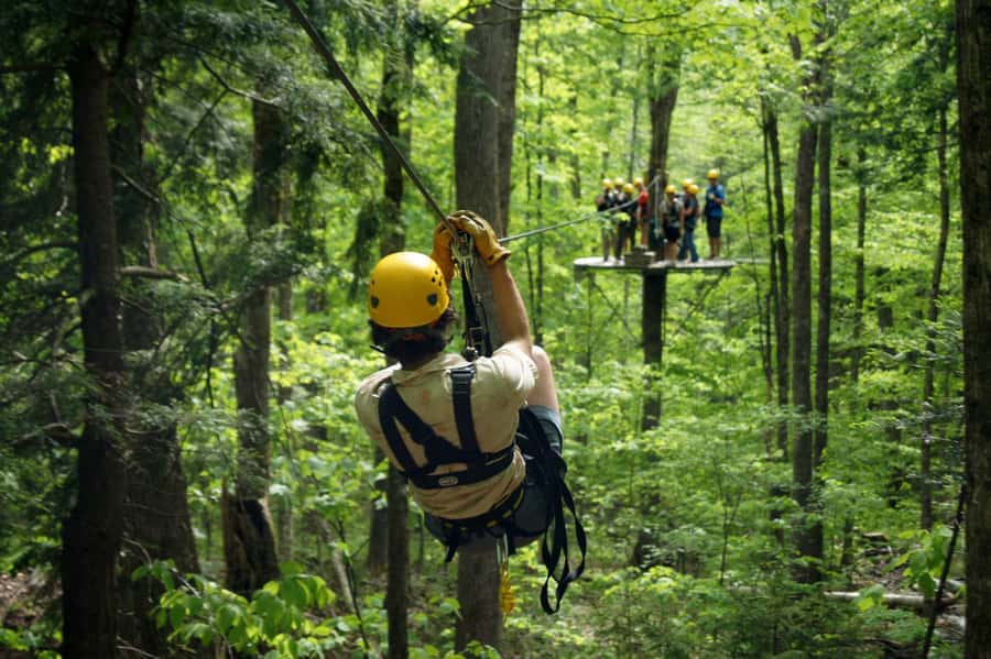 Jeffersonville, VT: ArborTrek Zipline Canopy Tour - Flying through Vermont’s Green Mountains