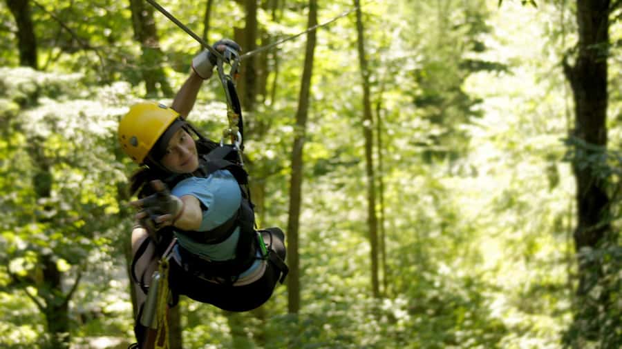 Jeffersonville, VT: ArborTrek Zipline Canopy Tour - Two rappels from the trees