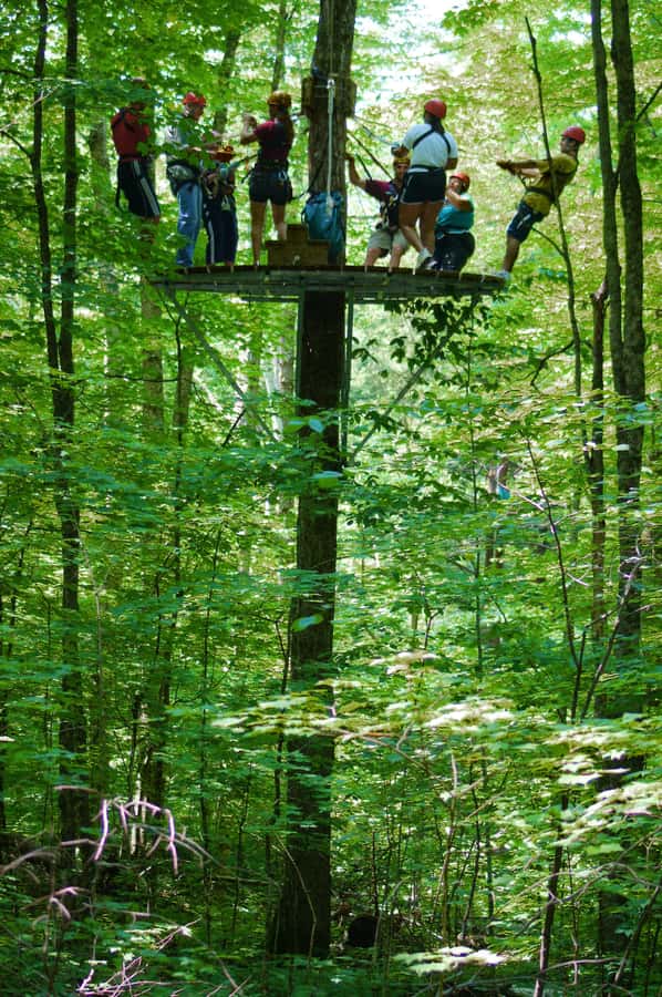 Jeffersonville, VT: ArborTrek Zipline Canopy Tour - Is $139 a fair price?