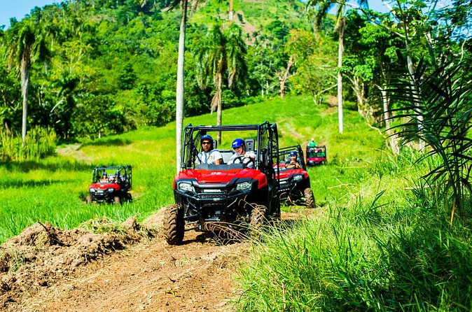 Jungle Buggies + Ziplines Adventures - Twelve ziplines across 18 platforms