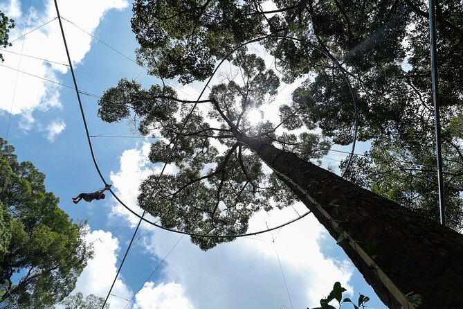 Jungle Flight Zipline Adventure From Chiang Mai - Transport, lunch, and the four-hour schedule