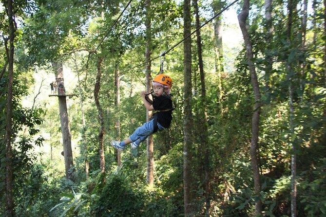 Jungle Flight Zipline Adventure From Chiang Mai - Is $99.12 good value?